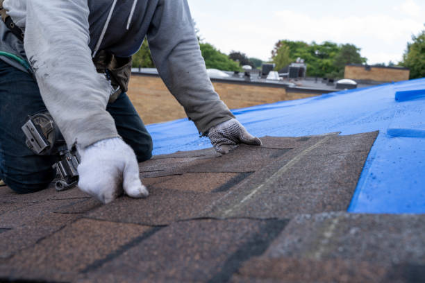 Best Shingle Roofing Installation  in Fredonia, WI