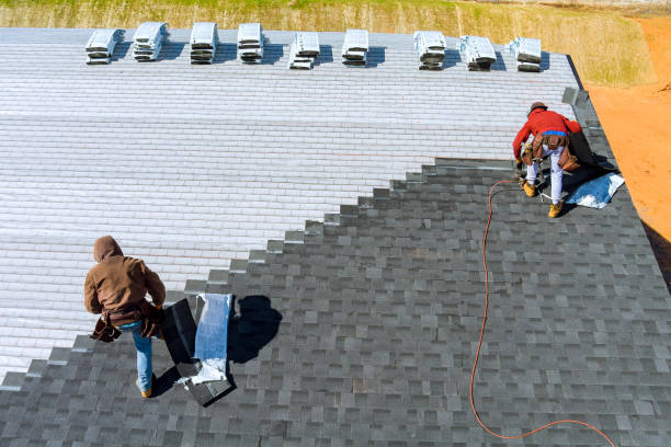 Best Roofing Contractors for Homes  in Fredonia, WI