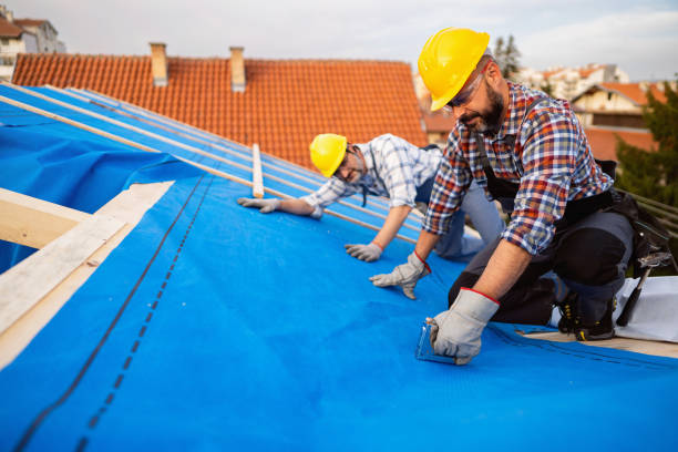Best Roof Maintenance Services  in Fredonia, WI