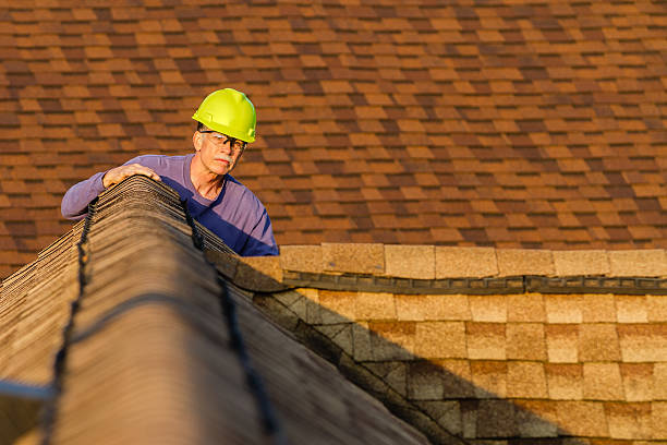 Best Residential Roof Replacement  in Fredonia, WI