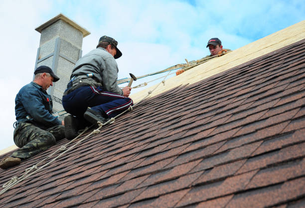 Best New Roof Installation  in Fredonia, WI